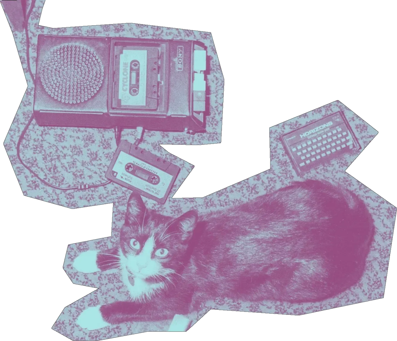 cat and tape player